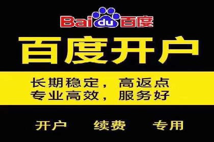 SEM托管公司案例：优化与增长